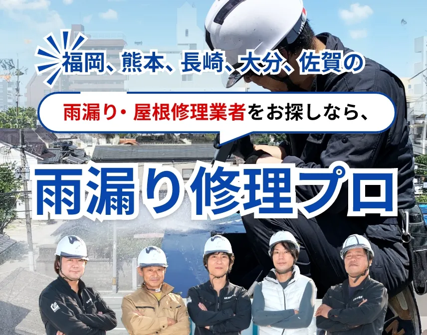 雨漏り・屋根修理業者をお探しなら、雨漏り修理プロ！
