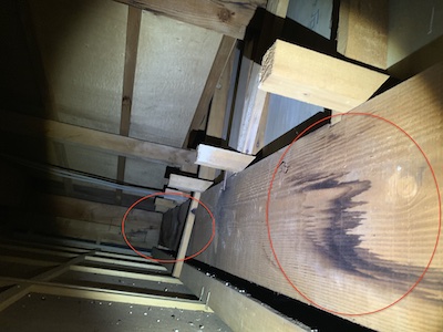 5.雨漏り発生箇所2