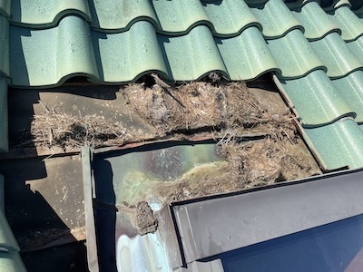 8.トップライト廻り